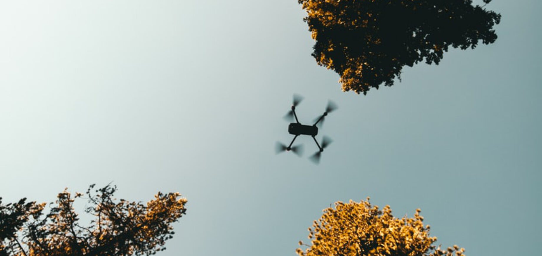 low angle photo of drone near trees